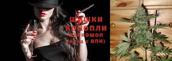 индика Михайловск