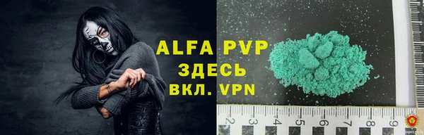 индика Михайловск