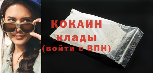 молекула духа Михайлов