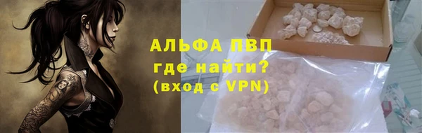 индика Михайловск