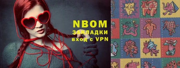 индика Михайловск