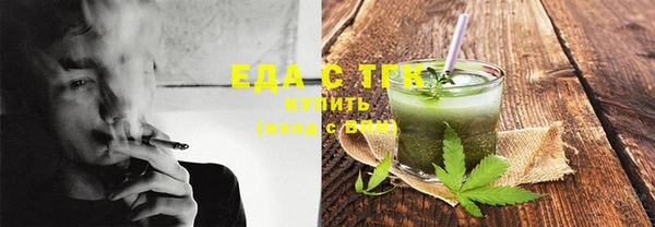 индика Михайловск