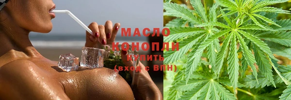 индика Михайловск
