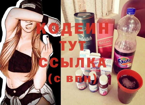 индика Михайловск