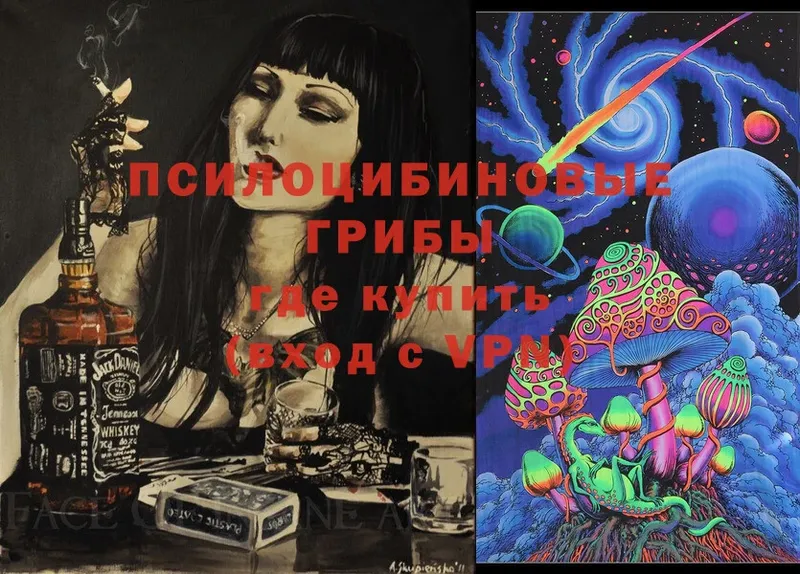 ссылка на мегу ссылки  Руза  Галлюциногенные грибы Cubensis  где купить  