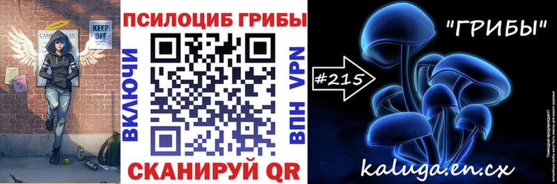 Псилоцибиновые грибы мицелий  omg вход  Руза  где продают наркотики 